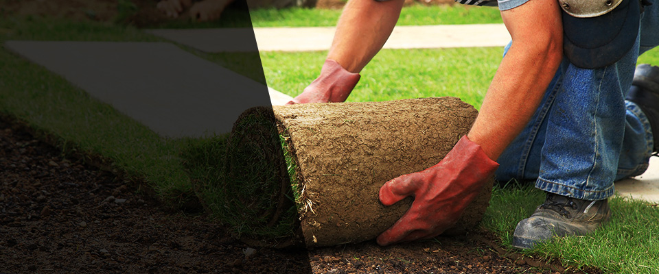 Pierre Landscapers